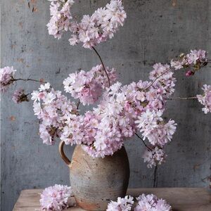 🌸 Thank you! 🌸